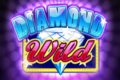 Diamond Wild Slot